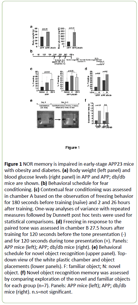 Dietary Quercetin Ameliorates Memory Impairment In A Murine Model Of Alzheimeraƒa A A A A S Disease With Obesity And Diabetes Suppressing Atf4 Expression Insight Medical Publishing